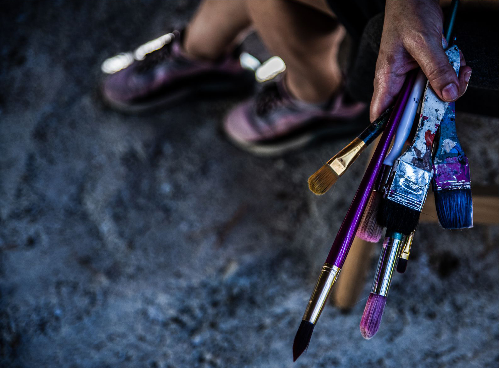 collection emotions and seasons